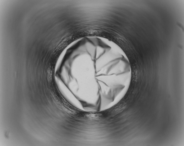 X0000099560558200806131236
