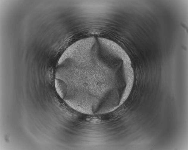 X0000099560559200806131236