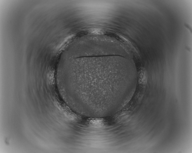 X0000099560560200806131236