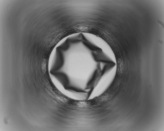 X0000099560562200806131236