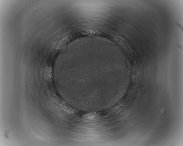 X0000099560563200806131236
