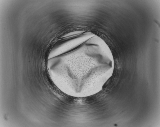 X0000099560564200806131236