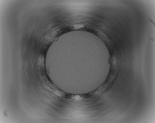 X0000099560565200806131236