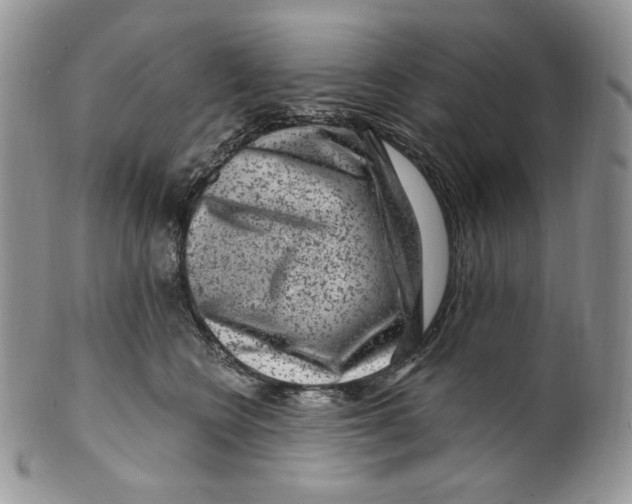 X0000099560566200806131236