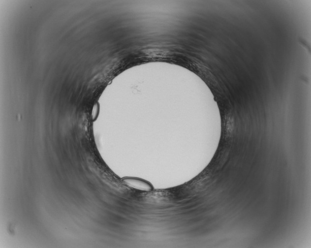 X0000099560567200806131236