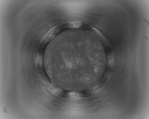 X0000099560568200806131236