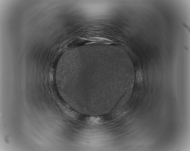 X0000099560570200806131236
