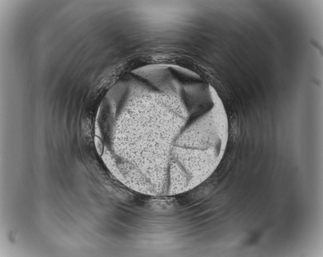 X0000099560571200806131236