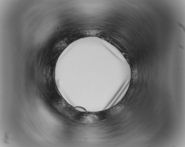 X0000099560572200806131236