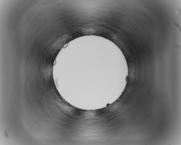 X0000099560574200806131236