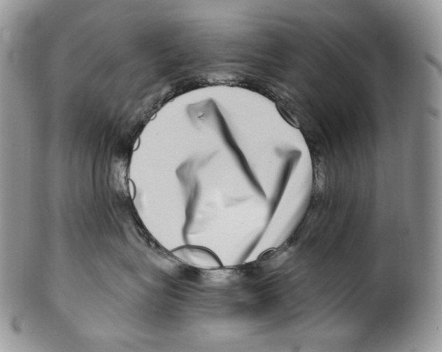 X0000099560575200806131236