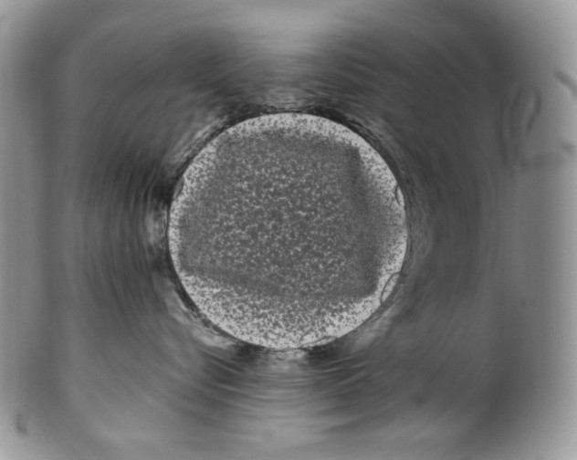 X0000099560576200806131236