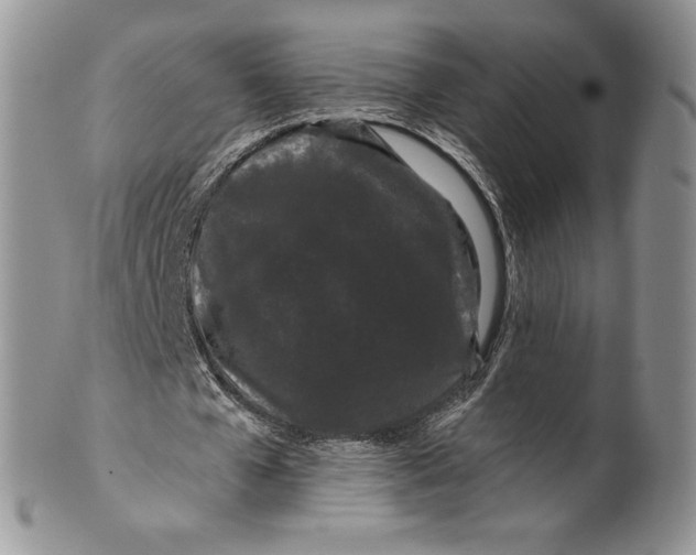 X0000099560577200806131236