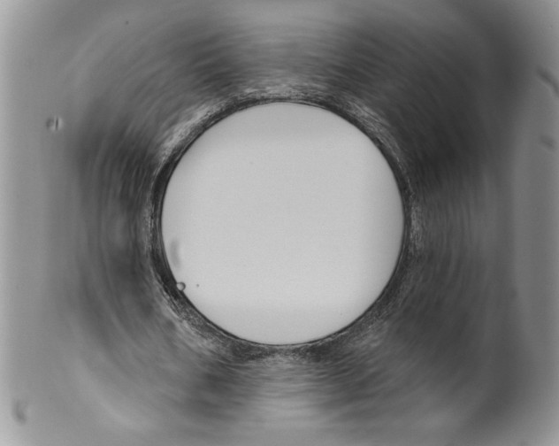 X0000099560578200806131236