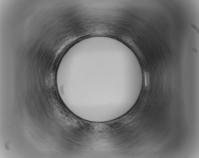 X0000099560579200806131236