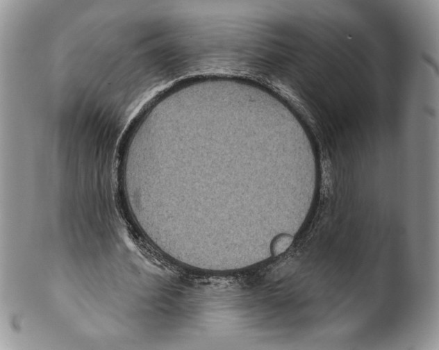 X0000099560580200806131236