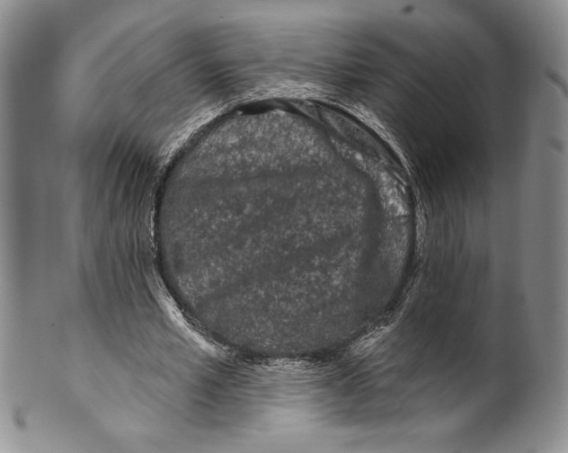 X0000099560581200806131236