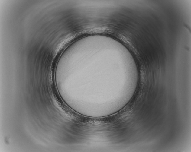 X0000099560582200806131236