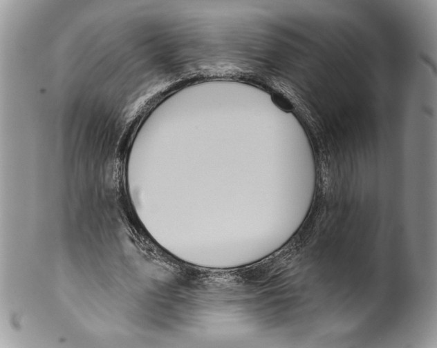 X0000099560583200806131236