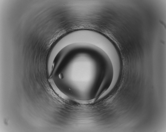 X0000099560585200806131236