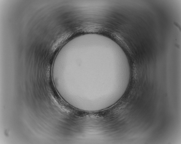 X0000099560586200806131236