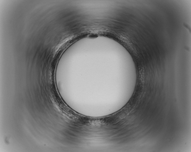 X0000099560587200806131236