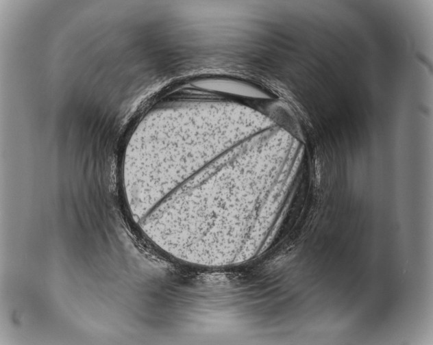 X0000099560588200806131236