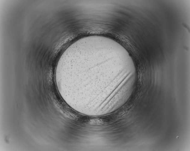 X0000099560591200806131236