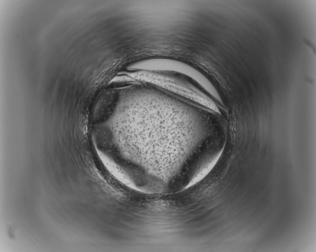 X0000099560593200806131236