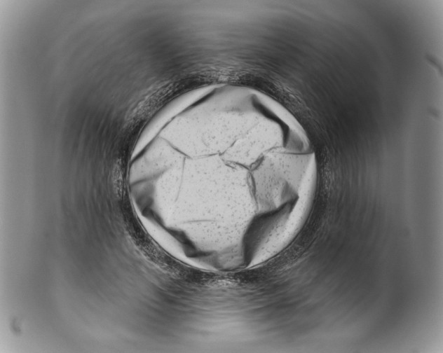 X0000099560594200806131236