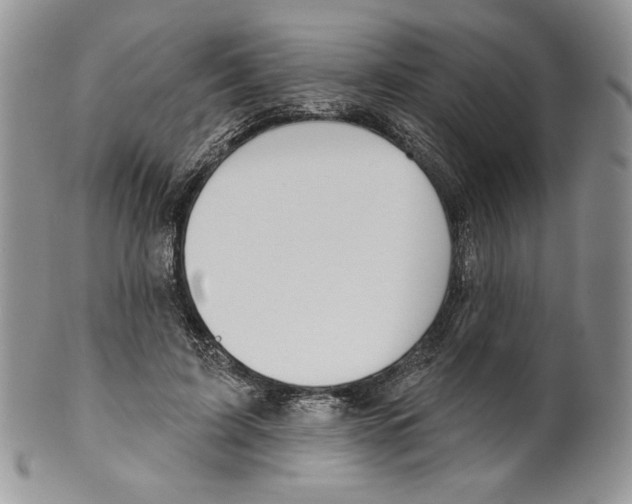 X0000099560595200806131236