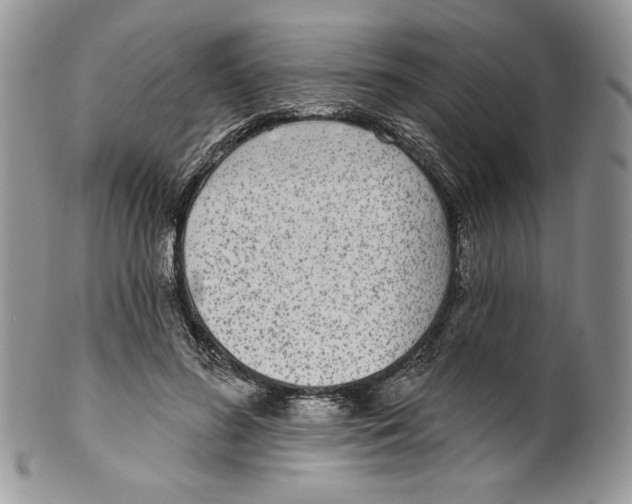 X0000099560596200806131236