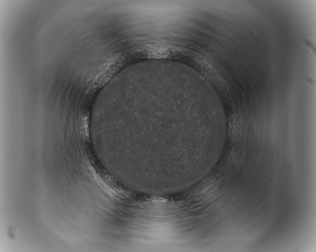 X0000099560598200806131236