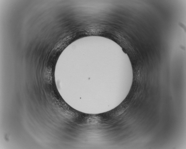 X0000099560599200806131235