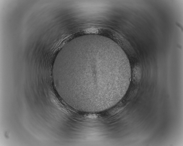 X0000099560600200806131235