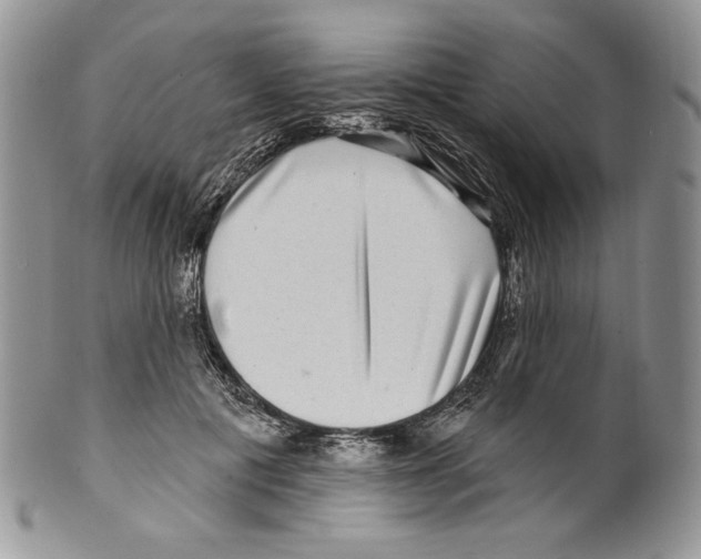 X0000099560601200806131235