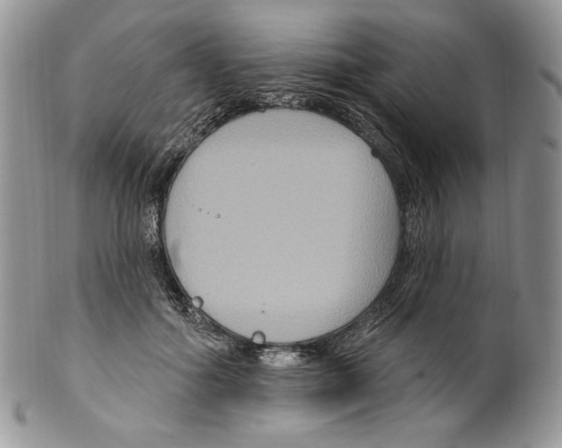 X0000099560602200806131235