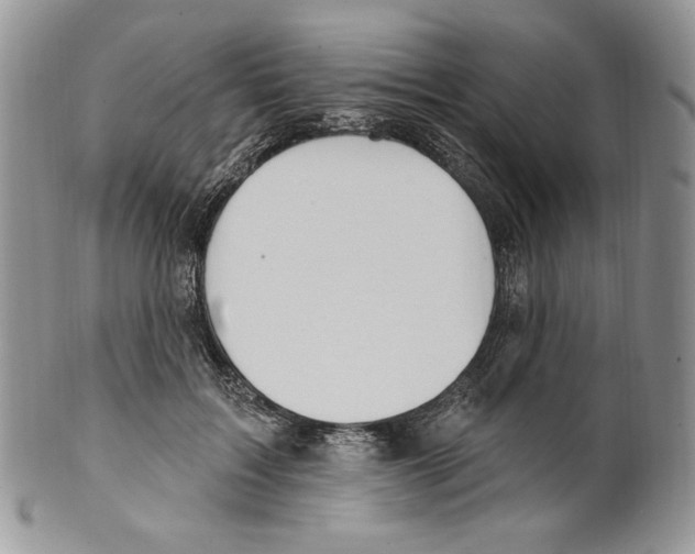 X0000099560603200806131235