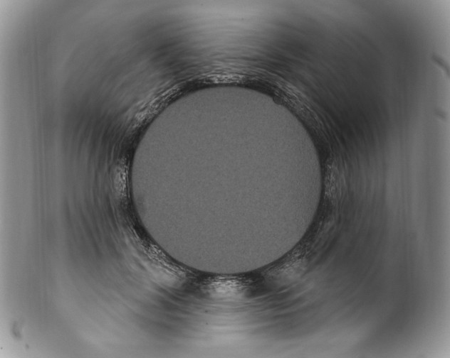 X0000099560604200806131235