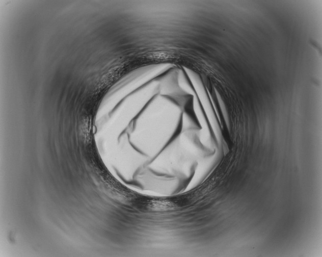 X0000099560605200806131235