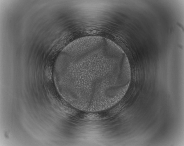 X0000099560606200806131235