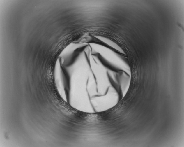 X0000099560609200806131235