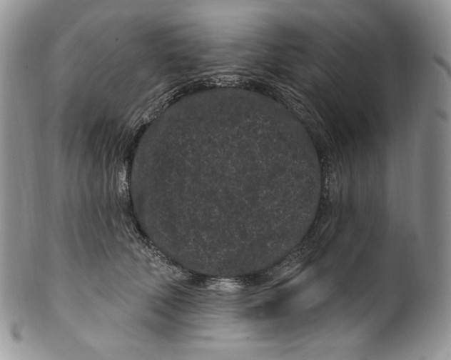 X0000099560610200806131235