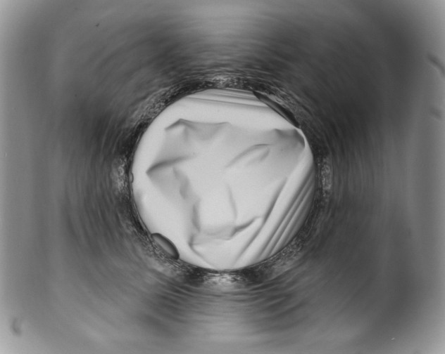 X0000099560611200806131235