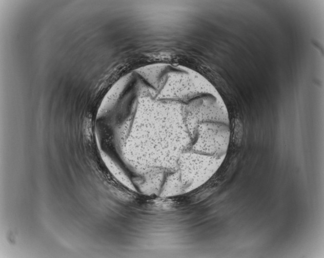 X0000099560612200806131235