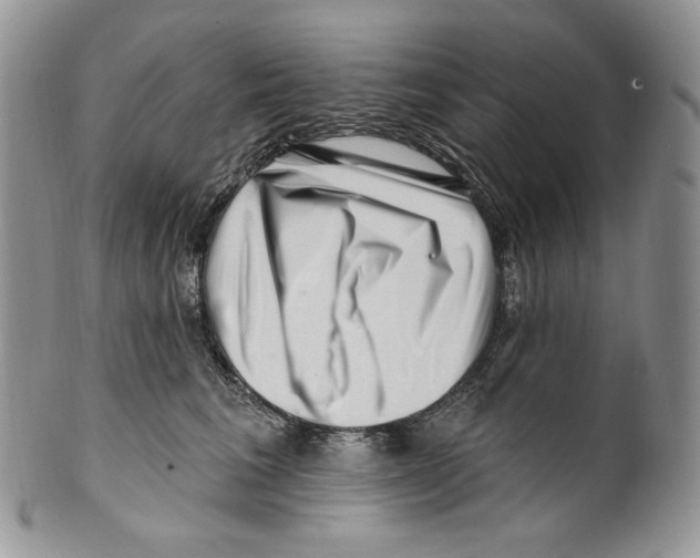 X0000099560613200806131235