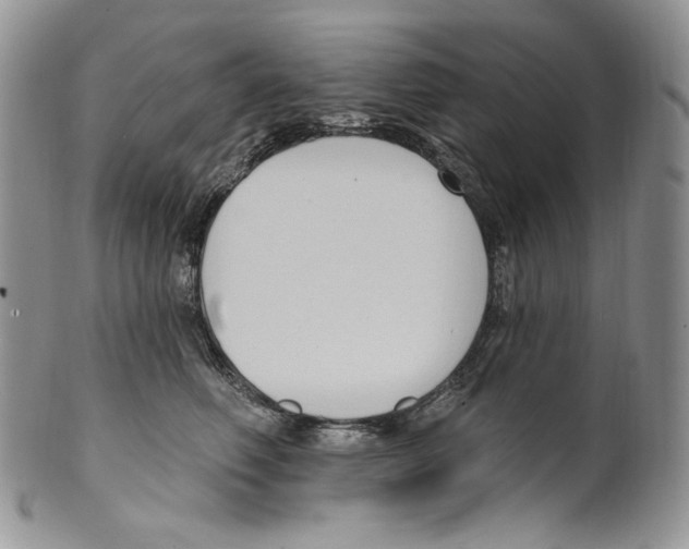 X0000099560614200806131235