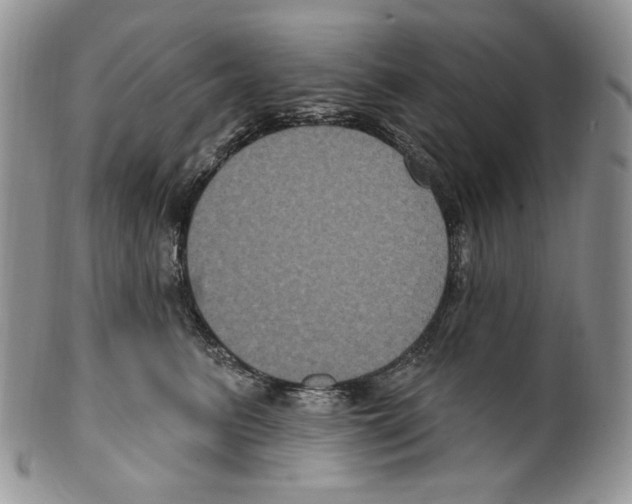 X0000099560615200806131235