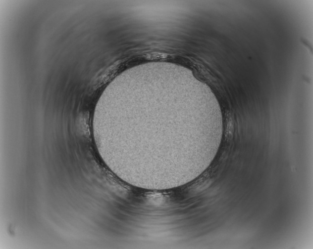 X0000099560616200806131235