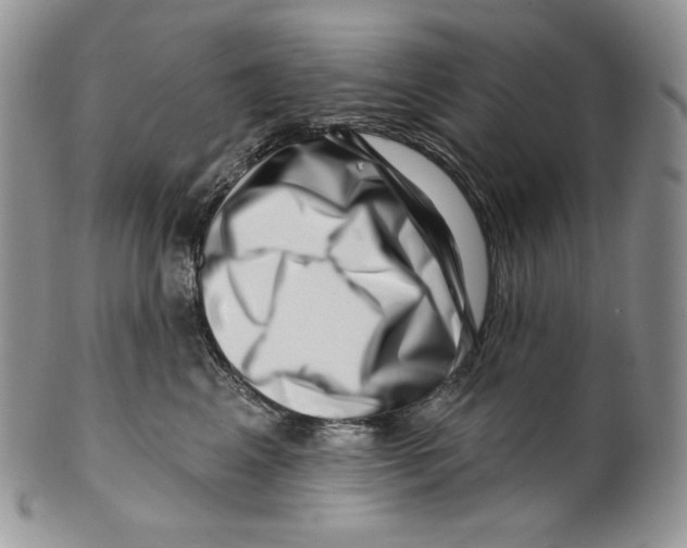 X0000099560617200806131235